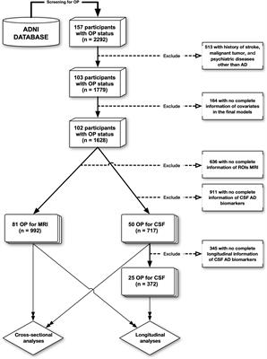 Osteoporosis is associated with elevated baseline cerebrospinal fluid biomarkers and accelerated brain structural atrophy among older people